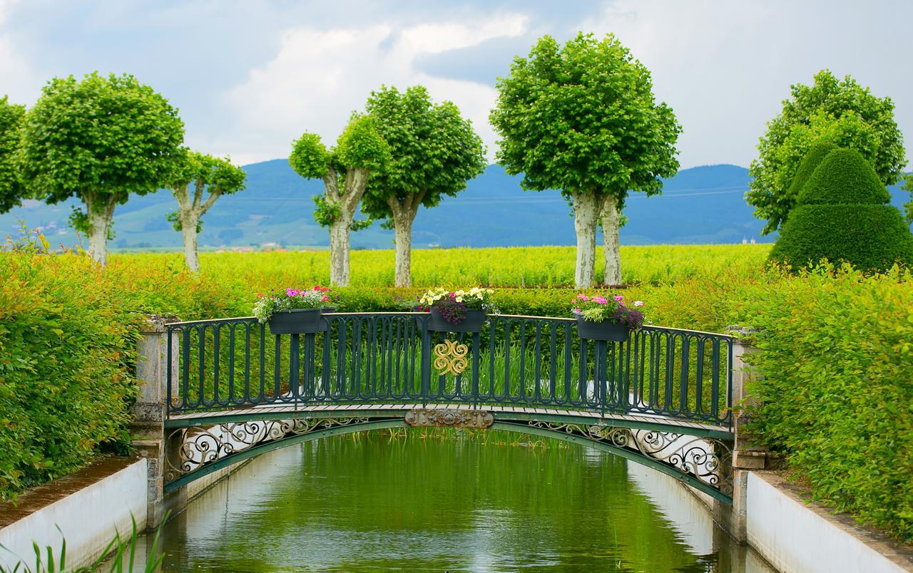 Chateau De Pizay Belleville-sur-Saone Ngoại thất bức ảnh